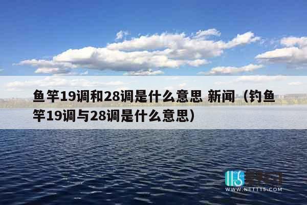 鱼竿19调和28调是什么意思 新闻（钓鱼竿19调与28调是什么意思）