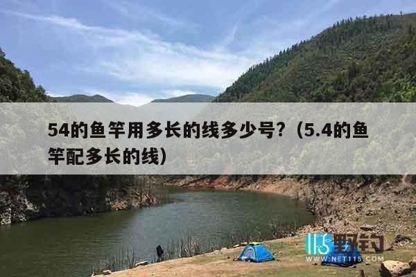 54的鱼竿用多长的线多少号?（5.4的鱼竿配多长的线）