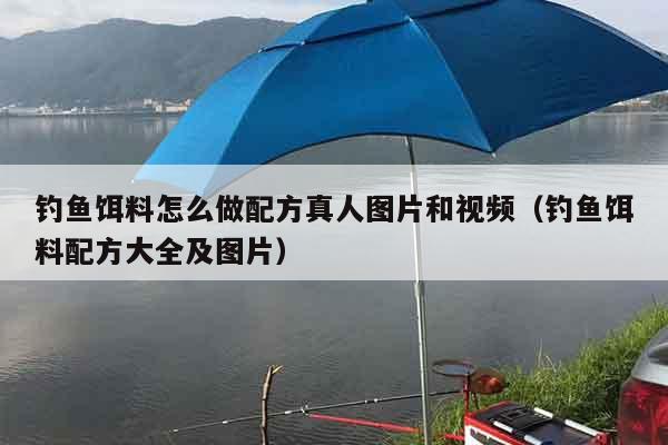 钓鱼饵料怎么做配方真人图片和视频（钓鱼饵料配方大全及图片）