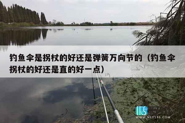 钓鱼伞是拐杖的好还是弹簧万向节的（钓鱼伞拐杖的好还是直的好一点）