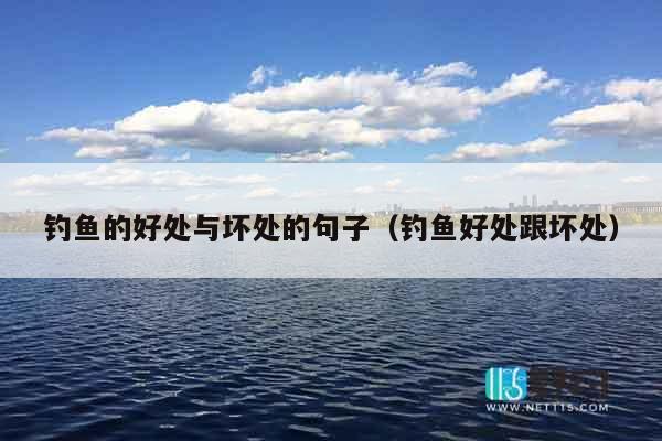 钓鱼的好处与坏处的句子（钓鱼好处跟坏处）