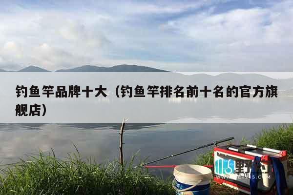 钓鱼竿品牌十大（钓鱼竿排名前十名的官方旗舰店）