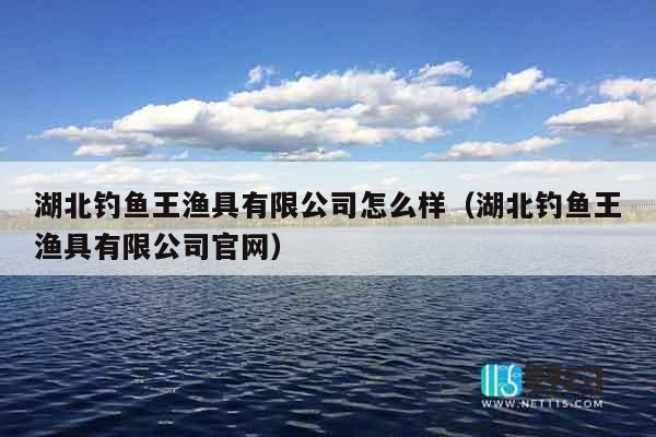 湖北钓鱼王渔具有限公司怎么样（湖北钓鱼王渔具有限公司官网）