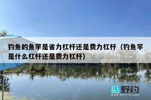 钓鱼的鱼竿是省力杠杆还是费力杠杆（钓鱼竿是什么杠杆还是费力杠杆）