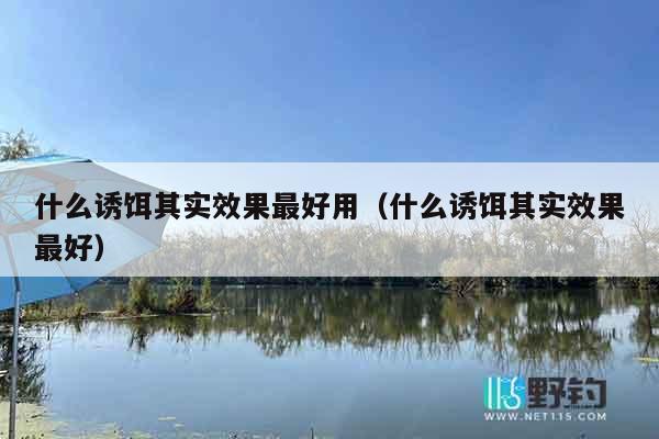 什么诱饵其实效果最好用（什么诱饵其实效果最好）