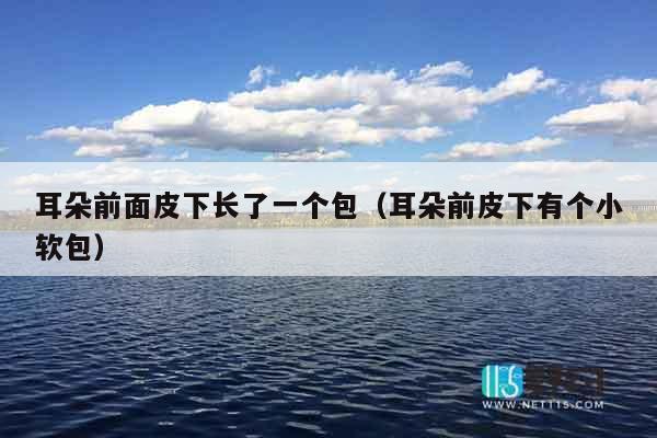 耳朵前面皮下长了一个包（耳朵前皮下有个小软包）