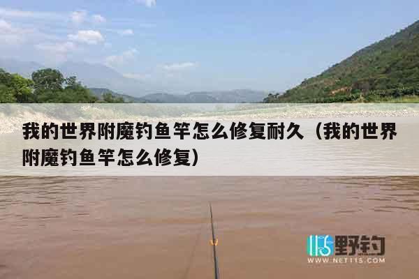 我的世界附魔钓鱼竿怎么修复耐久（我的世界附魔钓鱼竿怎么修复）