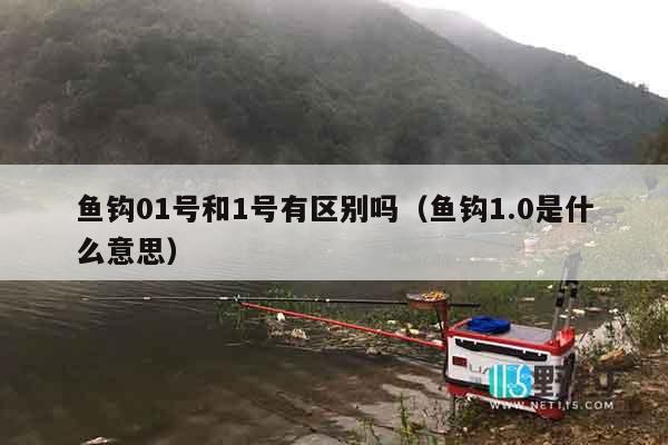 鱼钩01号和1号有区别吗（鱼钩1.0是什么意思）