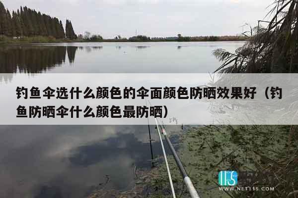 钓鱼伞选什么颜色的伞面颜色防晒效果好（钓鱼防晒伞什么颜色最防晒）