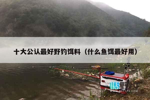 十大公认最好野钓饵料（什么鱼饵最好用）