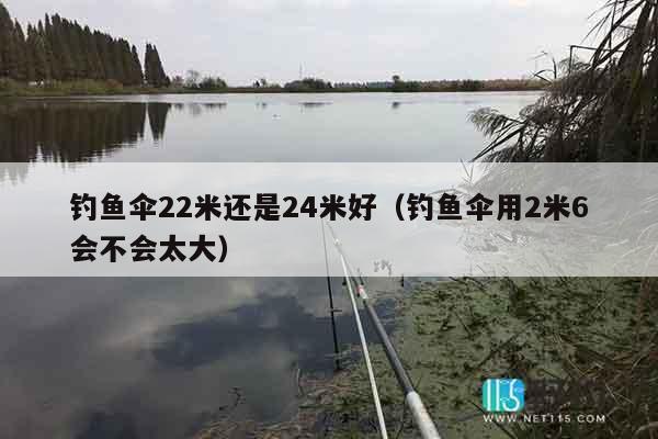 钓鱼伞22米还是24米好（钓鱼伞用2米6会不会太大）