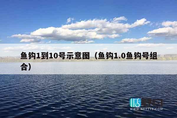 鱼钩1到10号示意图（鱼钩1.0鱼钩号组合）