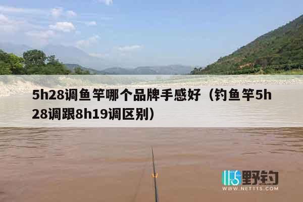 5h28调鱼竿哪个品牌手感好（钓鱼竿5h28调跟8h19调区别）