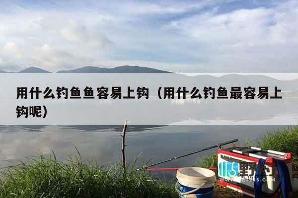 用什么钓鱼鱼容易上钩（用什么钓鱼最容易上钩呢）