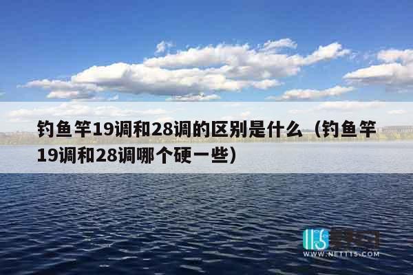 钓鱼竿19调和28调的区别是什么（钓鱼竿19调和28调哪个硬一些）