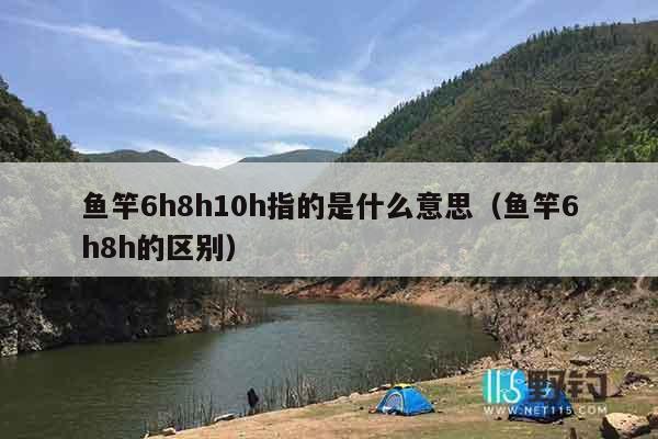 鱼竿6h8h10h指的是什么意思（鱼竿6h8h的区别）