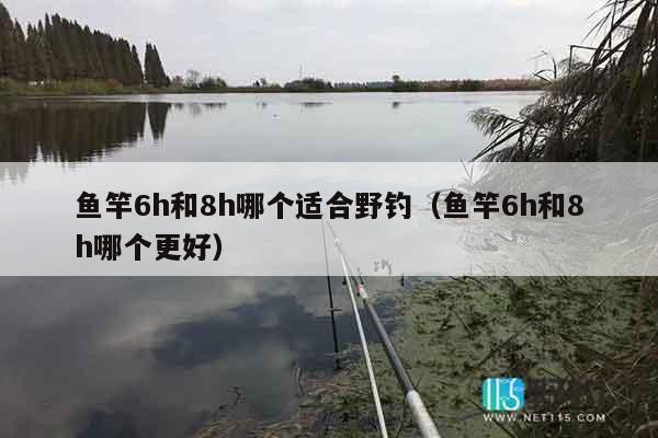 鱼竿6h和8h哪个适合野钓（鱼竿6h和8h哪个更好）