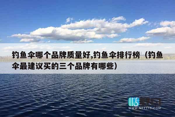 钓鱼伞哪个品牌质量好,钓鱼伞排行榜（钓鱼伞最建议买的三个品牌有哪些）