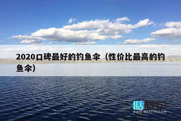 2020口碑最好的钓鱼伞（性价比最高的钓鱼伞）