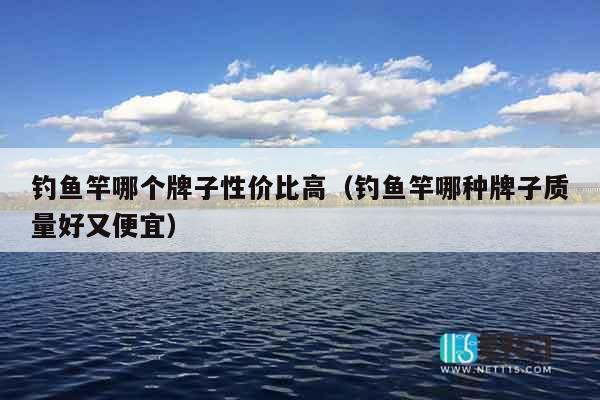 钓鱼竿哪个牌子性价比高（钓鱼竿哪种牌子质量好又便宜）
