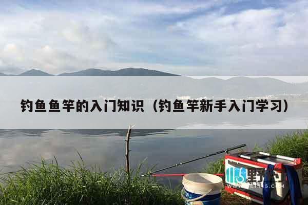 钓鱼鱼竿的入门知识（钓鱼竿新手入门学习）