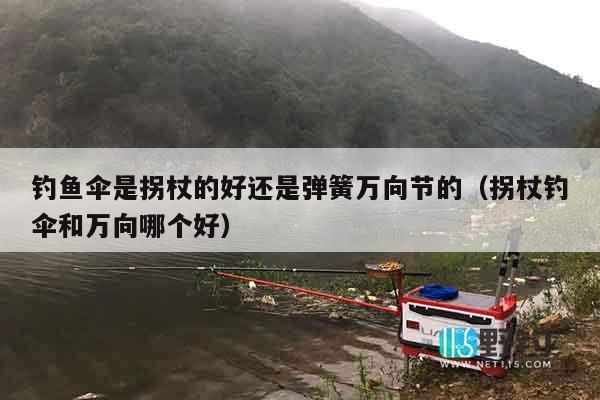钓鱼伞是拐杖的好还是弹簧万向节的（拐杖钓伞和万向哪个好）