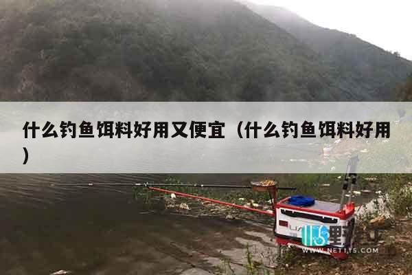 什么钓鱼饵料好用又便宜（什么钓鱼饵料好用）