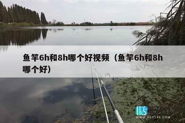 鱼竿6h和8h哪个好视频（鱼竿6h和8h哪个好）