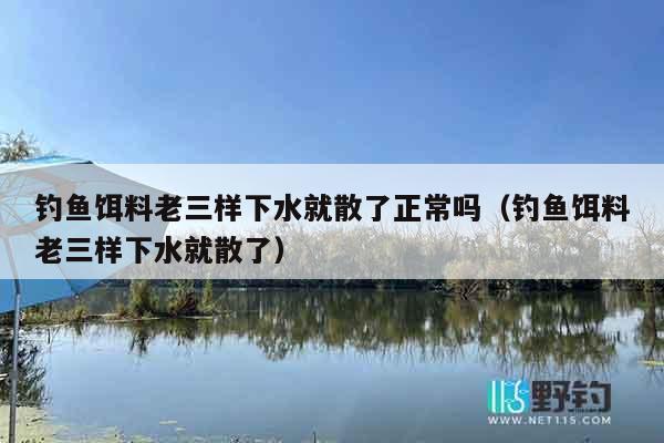 钓鱼饵料老三样下水就散了正常吗（钓鱼饵料老三样下水就散了）