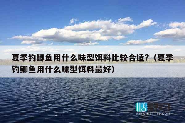 夏季钓鲫鱼用什么味型饵料比较合适?（夏季钓鲫鱼用什么味型饵料最好）