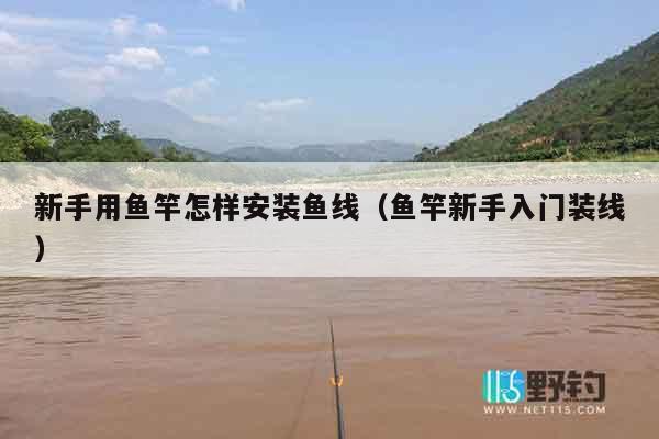 新手用鱼竿怎样安装鱼线（鱼竿新手入门装线）