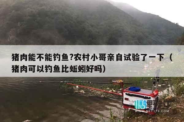 猪肉能不能钓鱼?农村小哥亲自试验了一下（猪肉可以钓鱼比蚯蚓好吗）