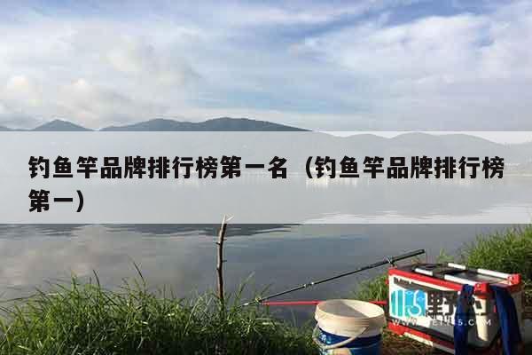 钓鱼竿品牌排行榜第一名（钓鱼竿品牌排行榜第一）