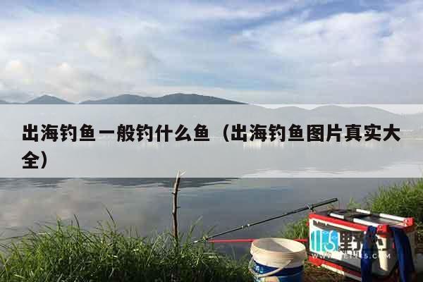 出海钓鱼一般钓什么鱼（出海钓鱼图片真实大全）