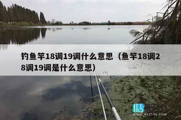 钓鱼竿18调19调什么意思（鱼竿18调28调19调是什么意思）