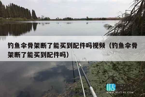 钓鱼伞骨架断了能买到配件吗视频（钓鱼伞骨架断了能买到配件吗）