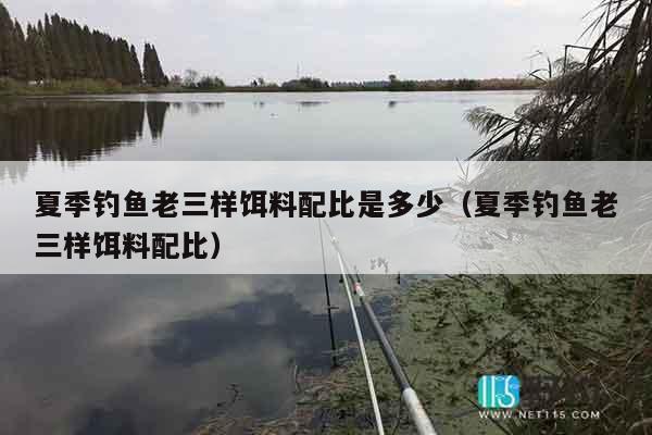 夏季钓鱼老三样饵料配比是多少（夏季钓鱼老三样饵料配比）