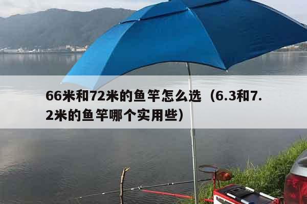 66米和72米的鱼竿怎么选（6.3和7.2米的鱼竿哪个实用些）