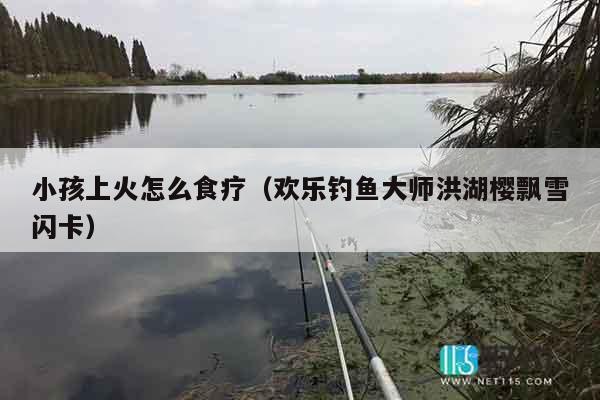 小孩上火怎么食疗（欢乐钓鱼大师洪湖樱飘雪闪卡）
