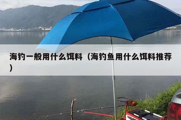 海钓一般用什么饵料（海钓鱼用什么饵料推荐）