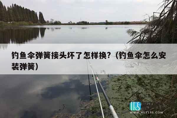 钓鱼伞弹簧接头坏了怎样换?（钓鱼伞怎么安装弹簧）