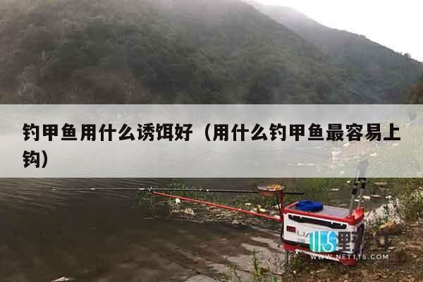 钓甲鱼用什么诱饵好（用什么钓甲鱼最容易上钩）
