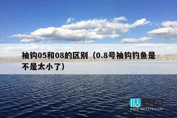 袖钩05和08的区别（0.8号袖钩钓鱼是不是太小了）