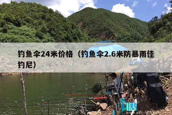 钓鱼伞24米价格（钓鱼伞2.6米防暴雨佳钓尼）