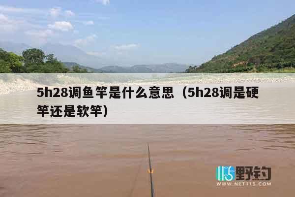 5h28调鱼竿是什么意思（5h28调是硬竿还是软竿）