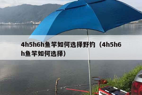 4h5h6h鱼竿如何选择野钓（4h5h6h鱼竿如何选择）