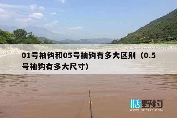 01号袖钩和05号袖钩有多大区别（0.5号袖钩有多大尺寸）
