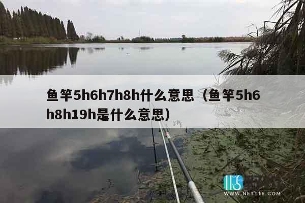 鱼竿5h6h7h8h什么意思（鱼竿5h6h8h19h是什么意思）