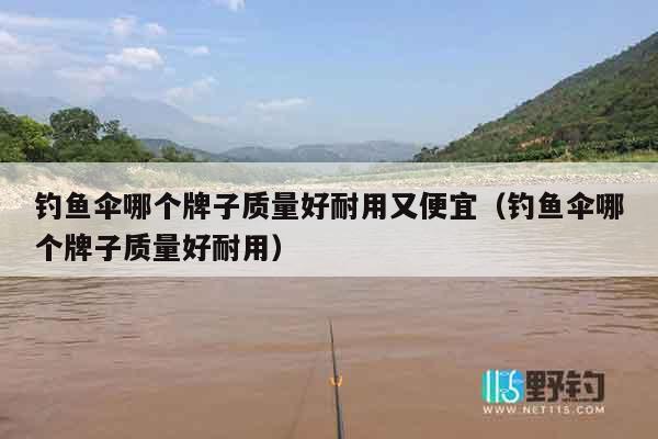 钓鱼伞哪个牌子质量好耐用又便宜（钓鱼伞哪个牌子质量好耐用）