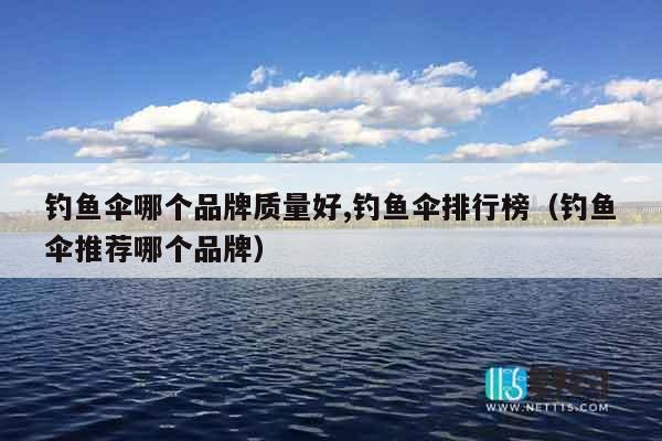 钓鱼伞哪个品牌质量好,钓鱼伞排行榜（钓鱼伞推荐哪个品牌）